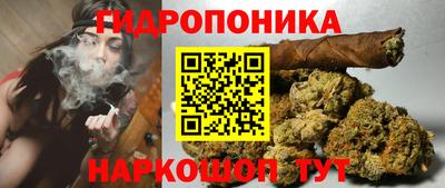 индика Нарткала