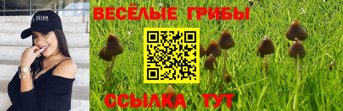 Южно-Сахалинск  купить наркотики сайты  Вход с VPN  Галлюциногенные грибы GOLDEN TEACHER 
